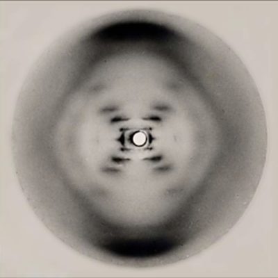 Photograph 51. X-ray diffraction image taken by Raymond Gosling whilst working with Rosalind Franklin on the structure of DNA in 1952